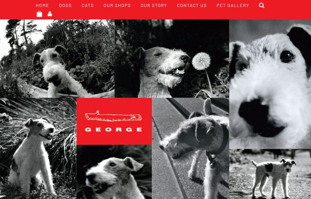georgesf.com website