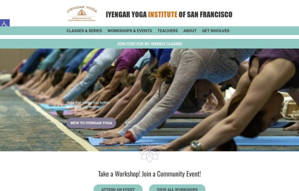 iyisf.org website